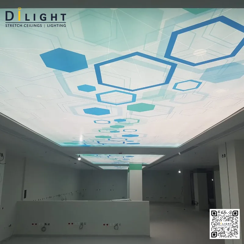 Print Ceiling 4