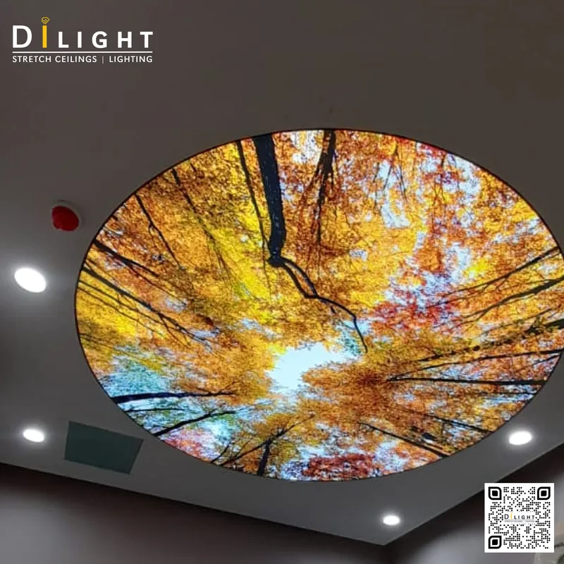 Print Ceiling 6