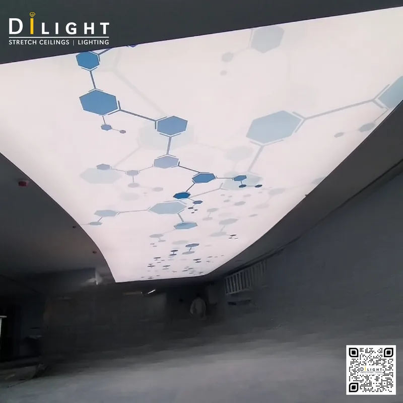 Print Ceiling 8