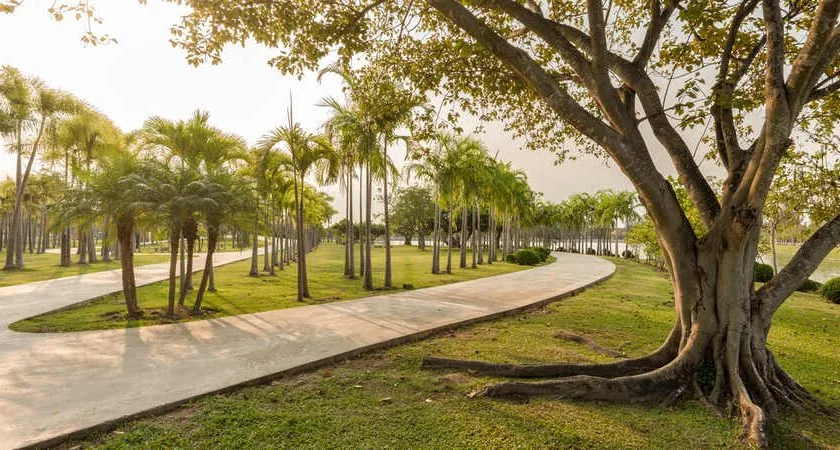 Prince Sultan Bin AbdulAziz Park — PTFE — Riyadh